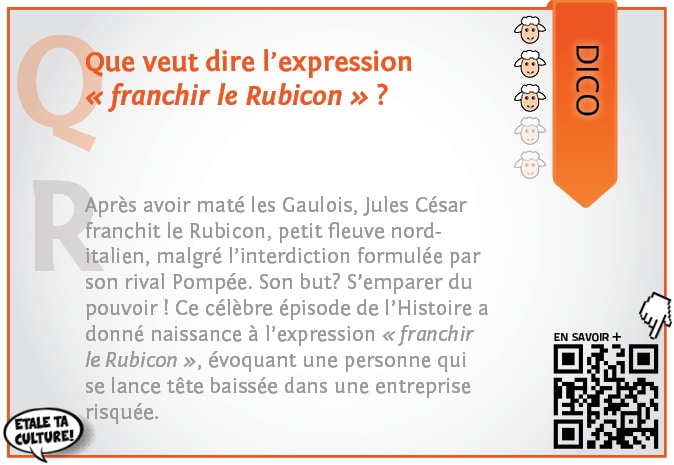 Que Veut Dire Un Chat Dans Le Marc De Caf Ef Bf Bd Que Veut Dire Un Chat Dans Le Marc De Caf Ef Bf Bd