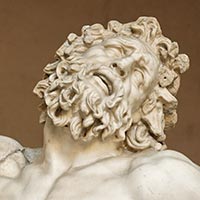 Laocoon, gros plan