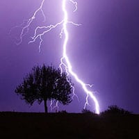 La colère de Zeus - Foudre et Prunus, mabellephoto.com