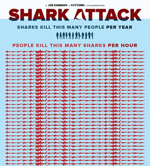 Shark-Attack-Stop-Finning-Infographic_01