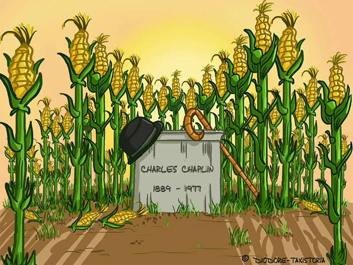 Chaplin enterré dans un champ de maïs