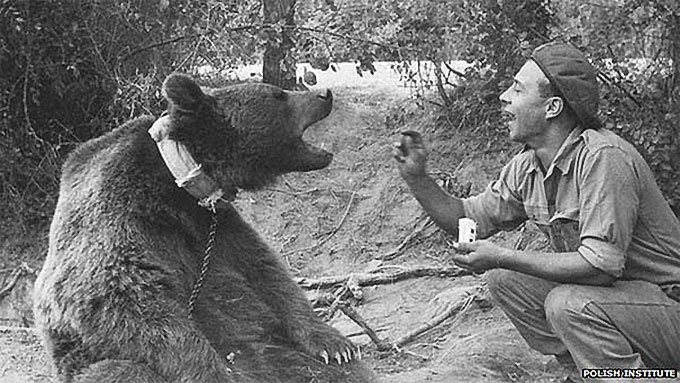 L'ours Wojtek, seul ours à avoir servi dans l'armée pendant la seconde Guerre mondiale