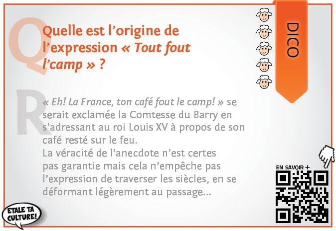 carte038 - Dico - Tout fout le camp