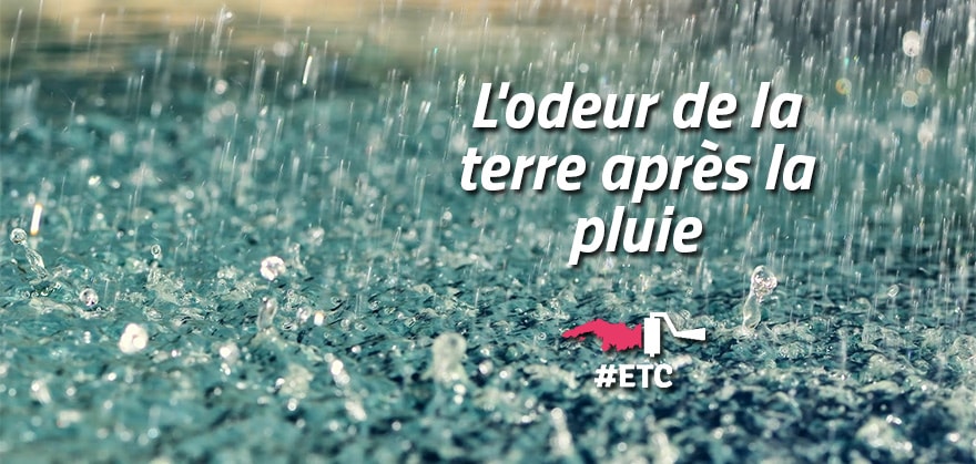 D'où vient l'odeur de la pluie ?