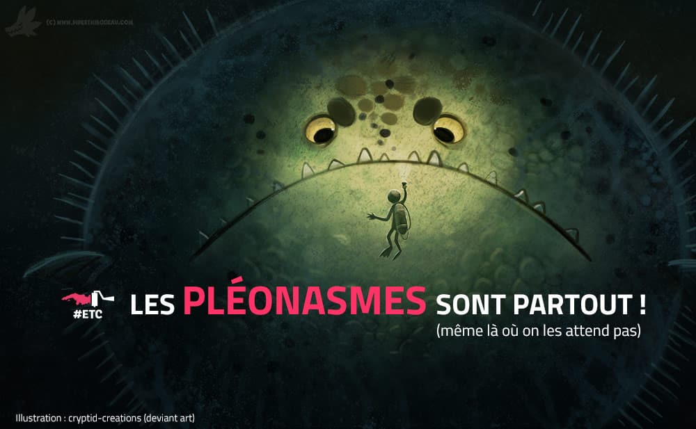 les-pleonasmes-sont-partout