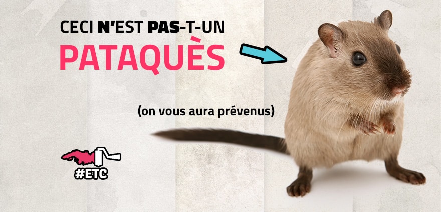 faire-un-pataques