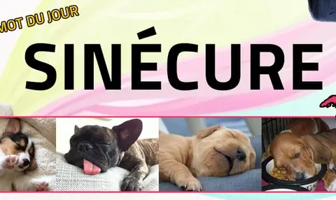 le-mot-du-jour-sinecure