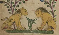 donner-dans-le-phebus
