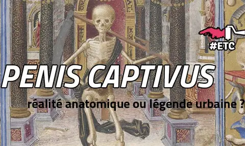 penis-captivus-realite-anatomique