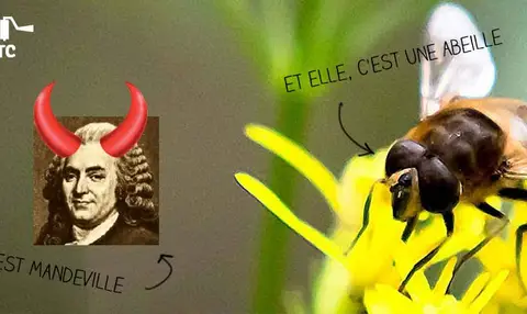 fable-des-abeilles