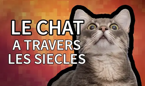 vignette-youtube-le-chat-a-travers-les-siecles3