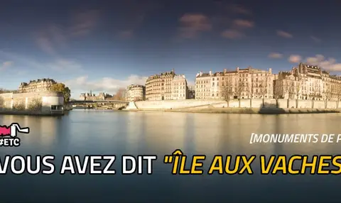 vous-avez-dit-ile-aux-vaches-ile-saint-louis
