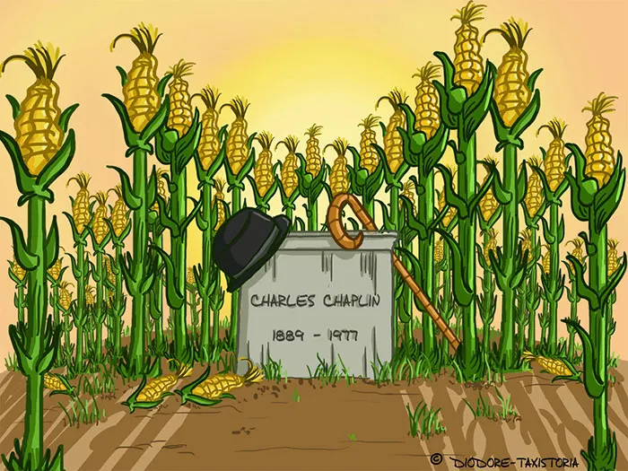 Chaplin enterré dans un champ de maïs