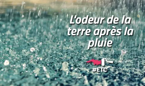 petrichor-odeur-de-la-terre-apres-la-pluie