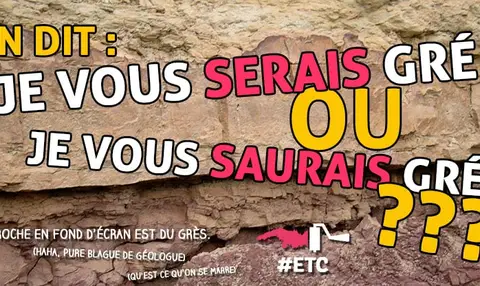 je-vous-saurais-gre