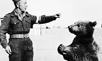 Wojtek_the_bear