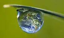 ecologie-vignette