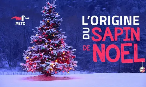 origine-sapin-de-noel-titre